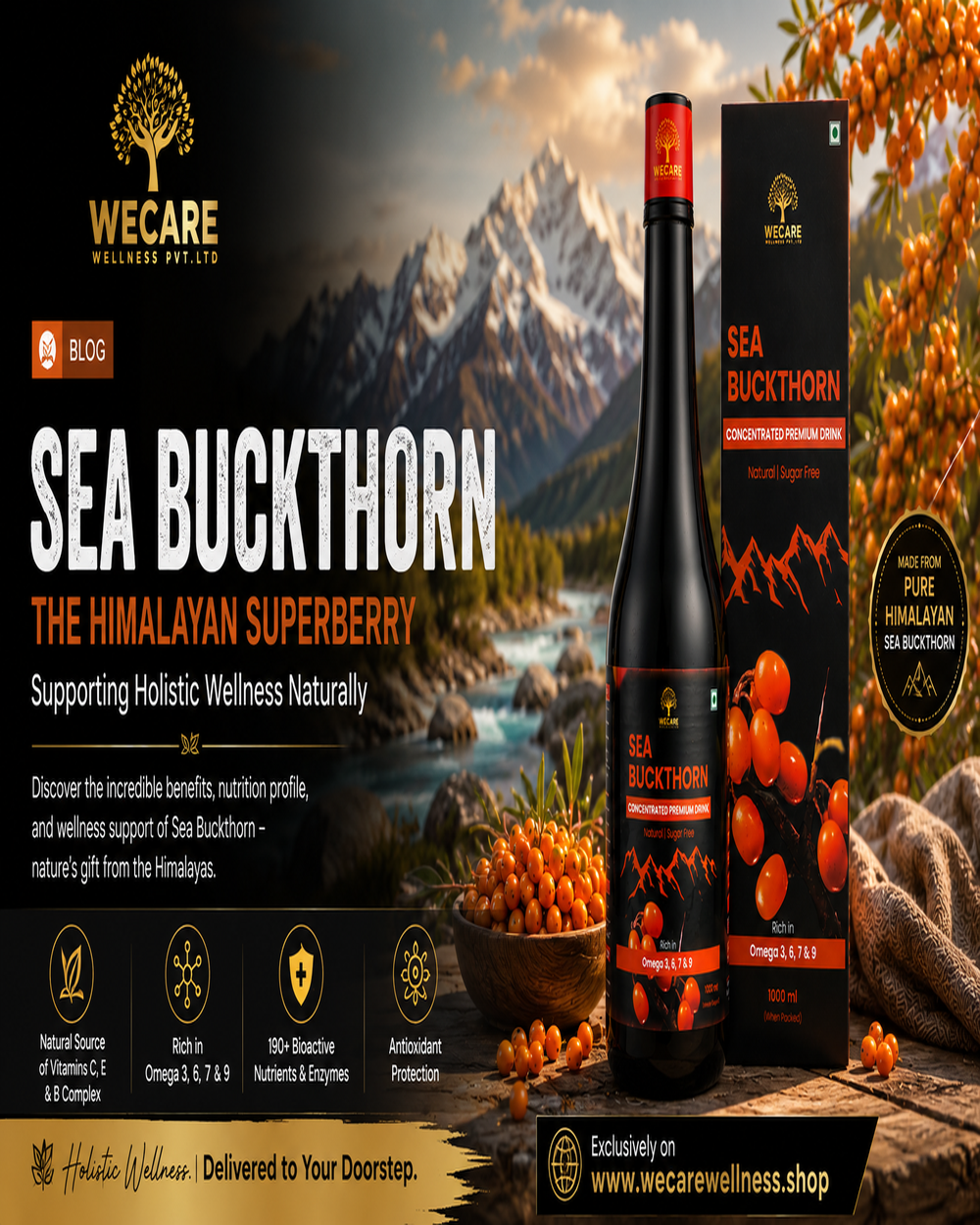 Sea Buckthorn: The Himalayan Superberry Supporting Holistic Wellness